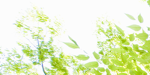 アクセス・店舗案内